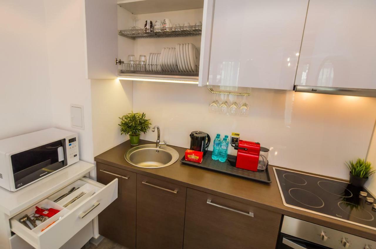 Silver Mountain A21 Friendly Apartment بويانا براسوف المظهر الخارجي الصورة