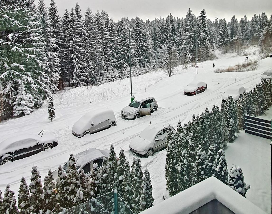 Silver Mountain A21 Friendly Apartment بويانا براسوف المظهر الخارجي الصورة
