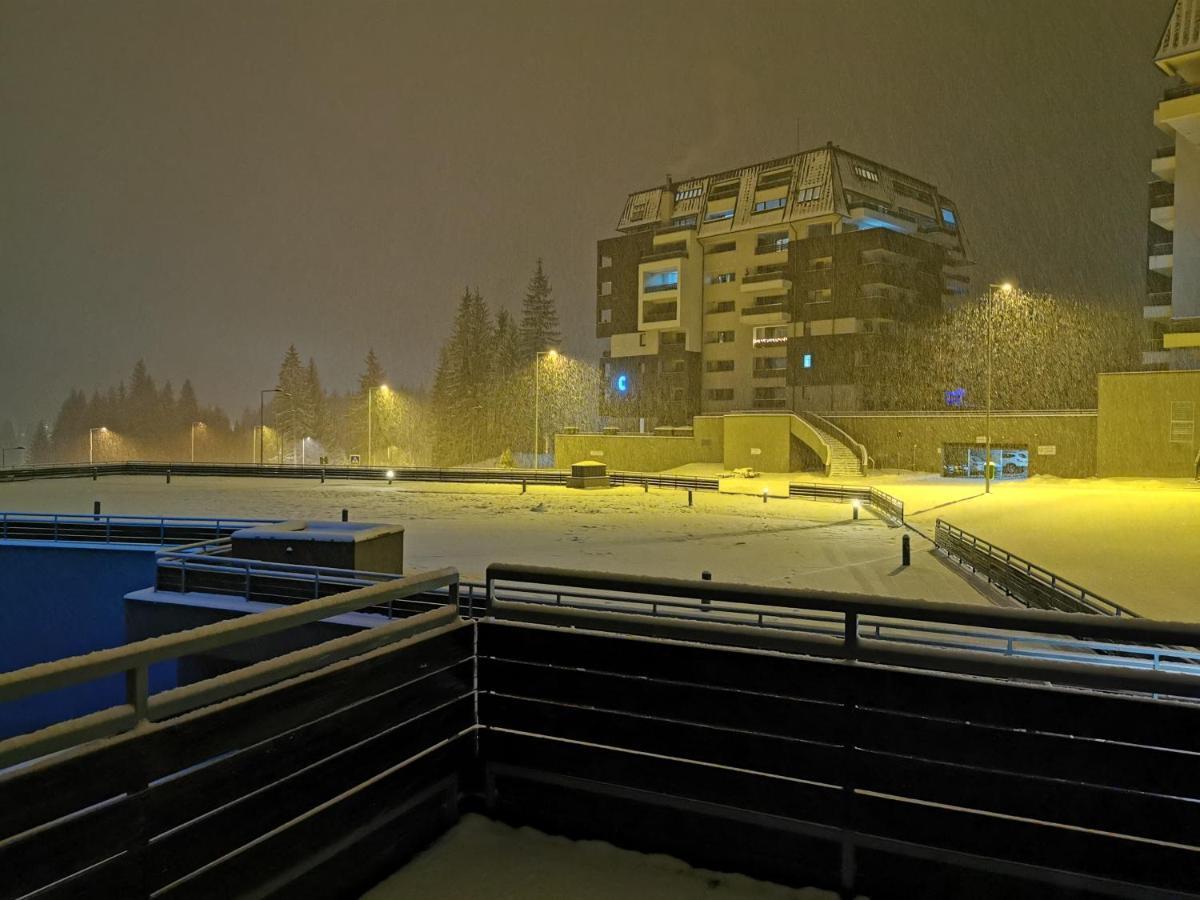 Silver Mountain A21 Friendly Apartment بويانا براسوف المظهر الخارجي الصورة